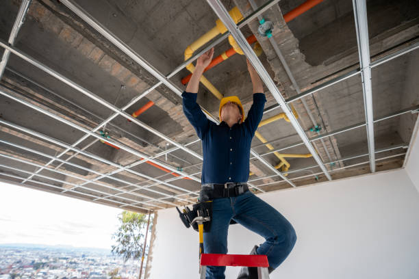Best Residential Plumbing Services  in Homewood, AL